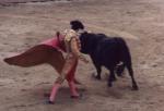 Matador at work